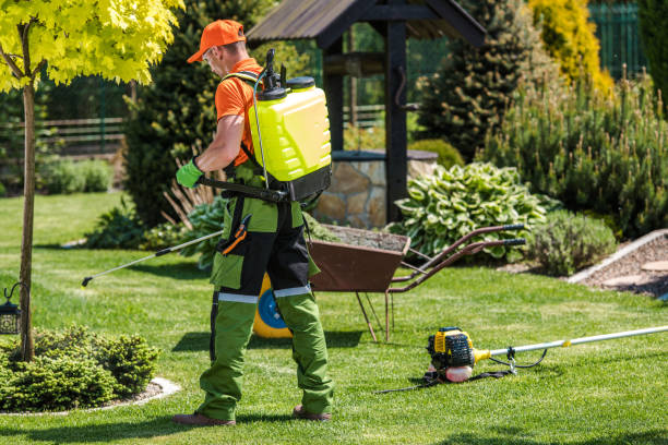 Outdoor Pest Control in St Helen, MI